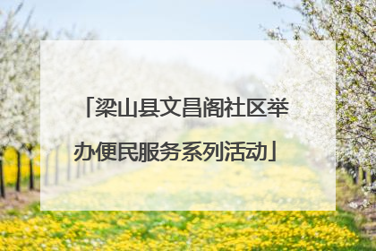 梁山县文昌阁社区举办便民服务系列活动
