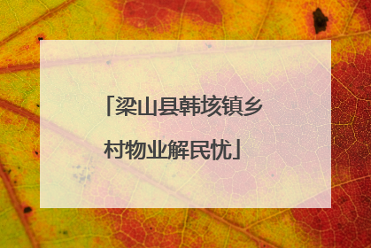 梁山县韩垓镇乡村物业解民忧