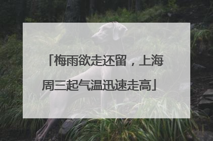 梅雨欲走还留，上海周三起气温迅速走高