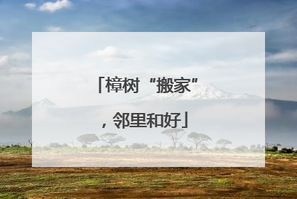 樟树“搬家”，邻里和好