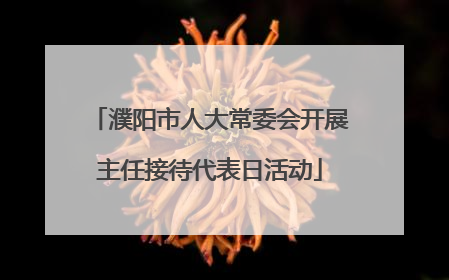 濮阳市人大常委会开展主任接待代表日活动