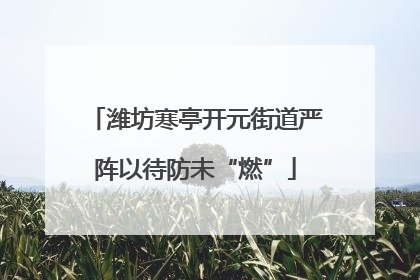 潍坊寒亭开元街道严阵以待防未“燃”