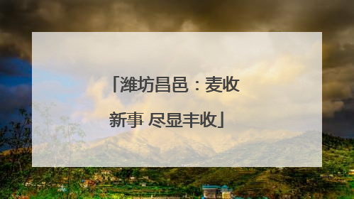 潍坊昌邑：麦收新事 尽显丰收