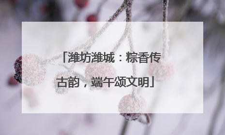 潍坊潍城：粽香传古韵，端午颂文明
