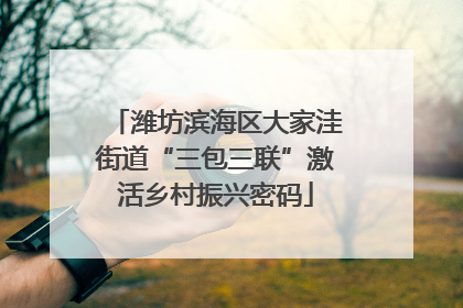 潍坊滨海区大家洼街道“三包三联”激活乡村振兴密码
