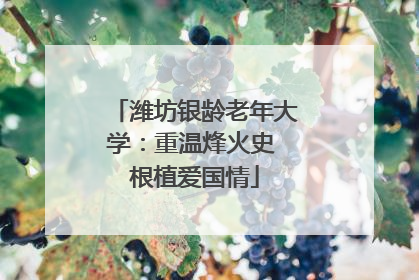 潍坊银龄老年大学：重温烽火史 根植爱国情