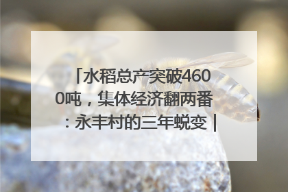 水稻总产突破4600吨，集体经济翻两番：永丰村的三年蜕变｜您牵挂的四川