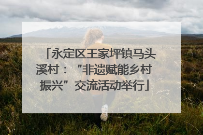 永定区王家坪镇马头溪村：“非遗赋能乡村振兴”交流活动举行