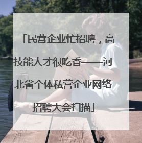 民营企业忙招聘，高技能人才很吃香——河北省个体私营企业网络招聘大会扫描