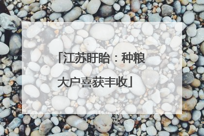江苏盱眙：种粮大户喜获丰收