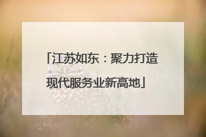 江苏如东：聚力打造现代服务业新高地