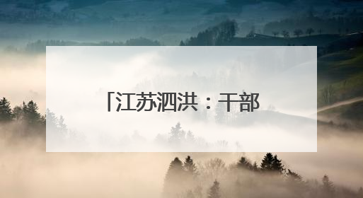 江苏泗洪：干部下沉强根基 治理提效惠民生