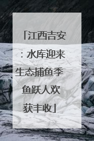 江西吉安：水库迎来生态捕鱼季 鱼跃人欢获丰收