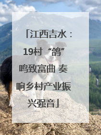 江西吉水：19村“鸽”鸣致富曲 奏响乡村产业振兴强音