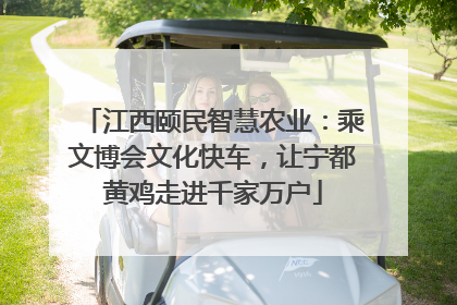 江西颐民智慧农业：乘文博会文化快车，让宁都黄鸡走进千家万户