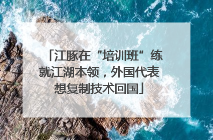 江豚在“培训班”练就江湖本领，外国代表想复制技术回国
