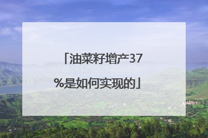 油菜籽增产37%是如何实现的
