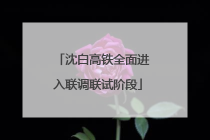 沈白高铁全面进入联调联试阶段