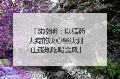 沈晓明：以猛药去疴的决心坚决刹住违规吃喝歪风