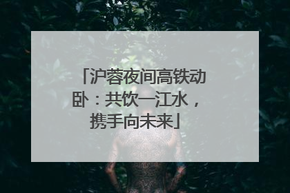 沪蓉夜间高铁动卧：共饮一江水，携手向未来