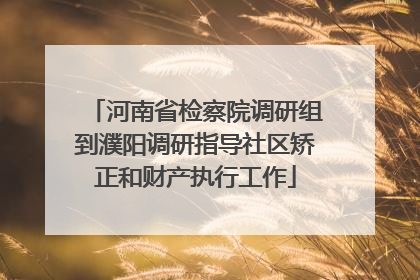 河南省检察院调研组到濮阳调研指导社区矫正和财产执行工作