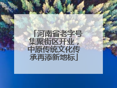 河南省老字号集聚街区开业，中原传统文化传承再添新地标