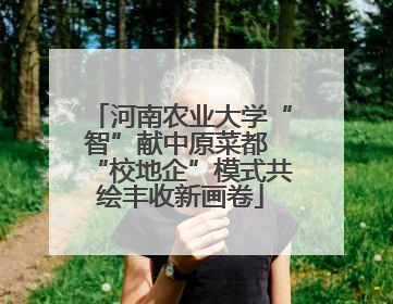 河南农业大学“智”献中原菜都 “校地企”模式共绘丰收新画卷