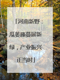 河南新野：瓜蒌藤蔓展新绿，产业振兴正当时