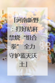 河南新野：打好秸秆禁烧“组合拳” 全力守护蓝天沃土
