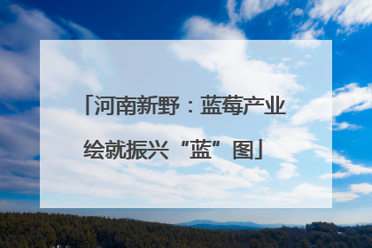 河南新野：蓝莓产业绘就振兴“蓝”图