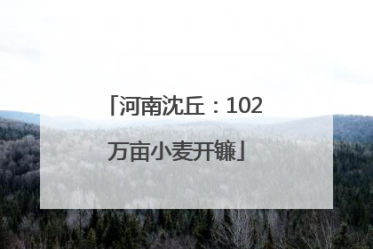 河南沈丘：102 万亩小麦开镰