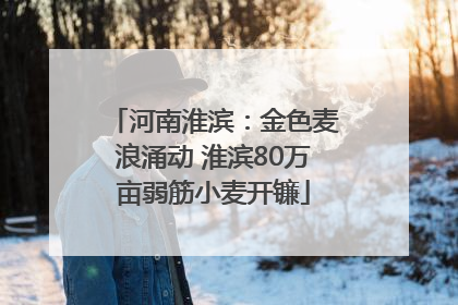 河南淮滨：金色麦浪涌动 淮滨80万亩弱筋小麦开镰