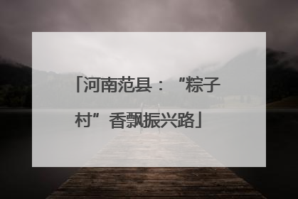 河南范县：“粽子村”香飘振兴路