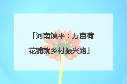 河南镇平：万亩荷花铺就乡村振兴路