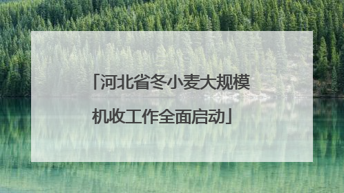 河北省冬小麦大规模机收工作全面启动