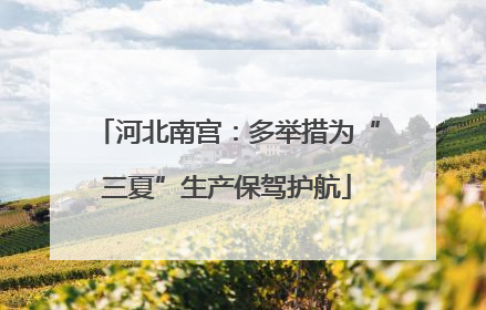 河北南宫:多举措为“三夏”生产保驾护航