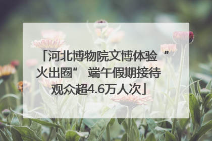 河北博物院文博体验“火出圈” 端午假期接待观众超4.6万人次