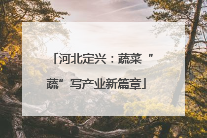 河北定兴：蔬菜“蔬”写产业新篇章