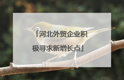 河北外贸企业积极寻求新增长点