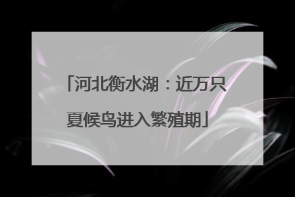 河北衡水湖：近万只夏候鸟进入繁殖期