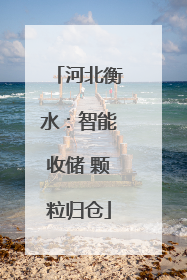 河北衡水：智能收储 颗粒归仓