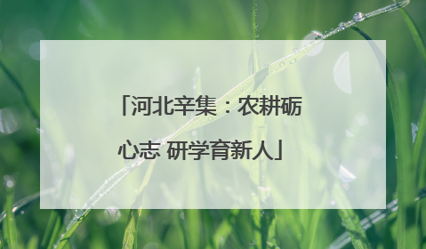 河北辛集：农耕砺心志 研学育新人
