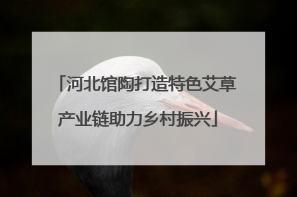 河北馆陶打造特色艾草产业链助力乡村振兴