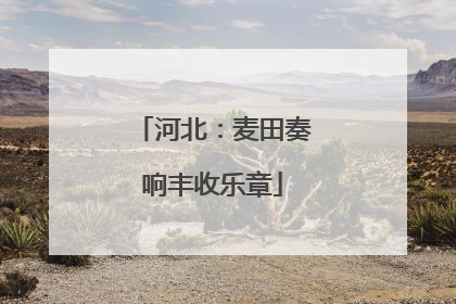河北：麦田奏响丰收乐章