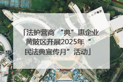 法护营商 “典”惠企业 黄陂区开展2025年“民法典宣传月”活动