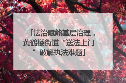 法治赋能基层治理，黄鹤楼街道“送法上门”破解执法难题