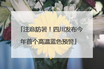 注意防暑！四川发布今年首个高温蓝色预警