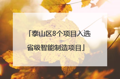 泰山区8个项目入选省级智能制造项目