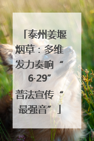 泰州姜堰烟草：多维发力奏响“6·29”普法宣传“最强音”