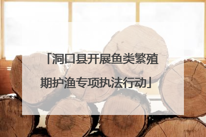 洞口县开展鱼类繁殖期护渔专项执法行动